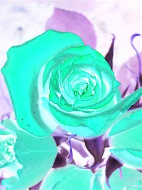 Toradh íomhá ar Java Swing Graphics Class Images