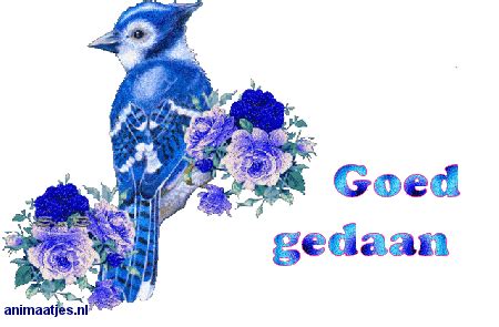 Image result for Python Goed Gedaan