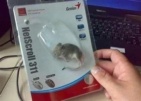 Afbeeldingsresultaten voor Cursed Computer Mouse