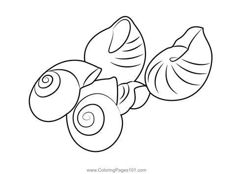 Afbeeldingsresultaten voor Sea Shell Drawing Open