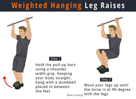 Afbeeldingsresultaten voor Different Types of Leg Raises