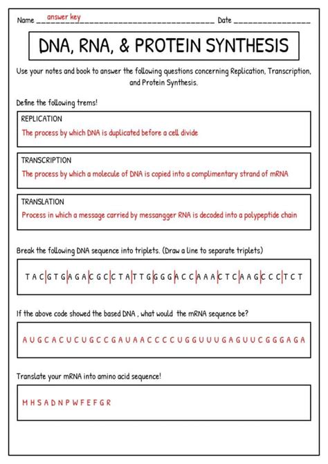 Toradh íomhá ar Protein Synthesis Worksheet and Answer Key