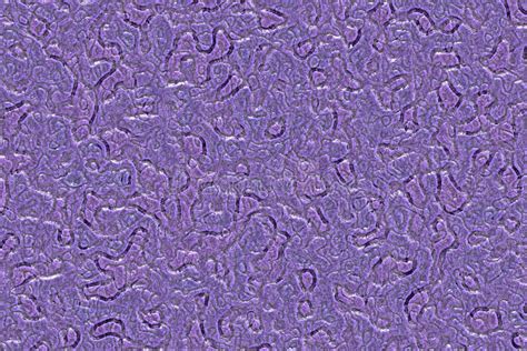 Image result for Random Noise Computer Graphics