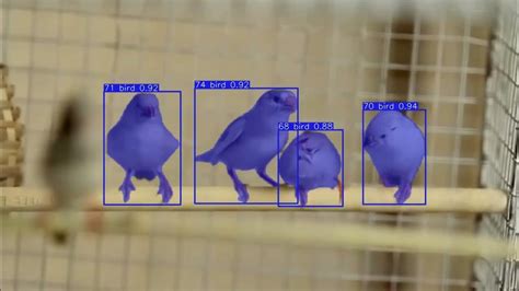 Instance Segmentation Accuracy-साठीचा प्रतिमा निकाल