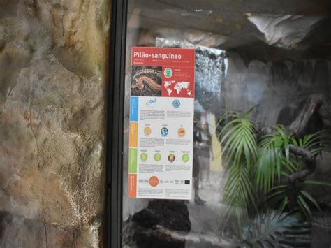 Image result for Jungle Python Zoo Signage