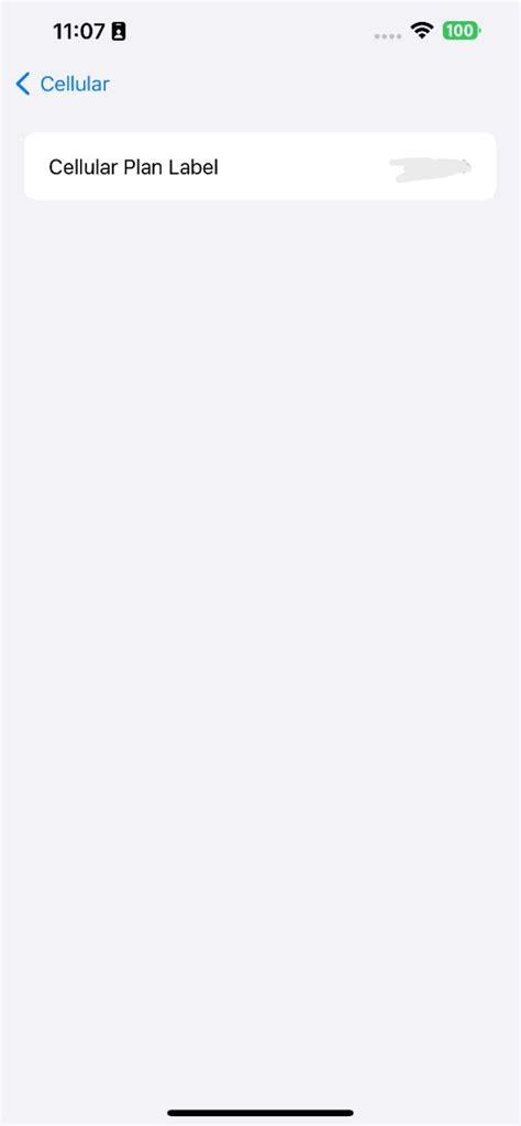 Image result for iOS Cell Settings