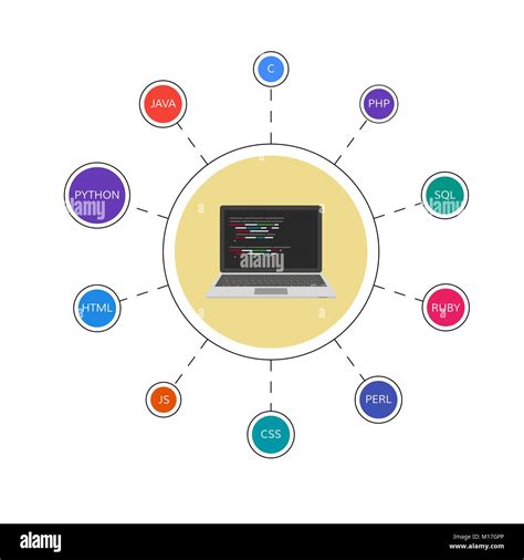 Image result for Coding Infographic