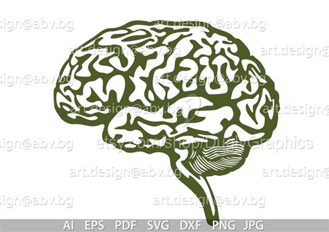 Brain Vector Drawing PNG に対する画像結果