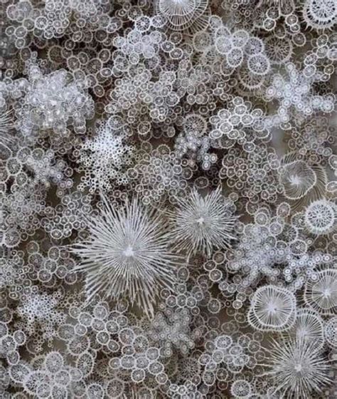 Snowflake Under Electron Microscope에 대한 이미지 결과