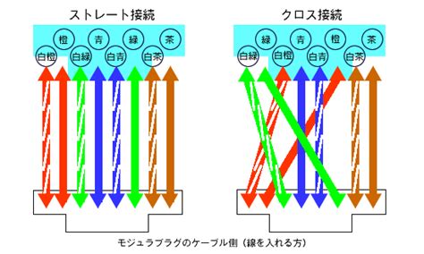 Table UTP Setup に対する画像結果