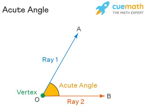 Image result for Acute Angle