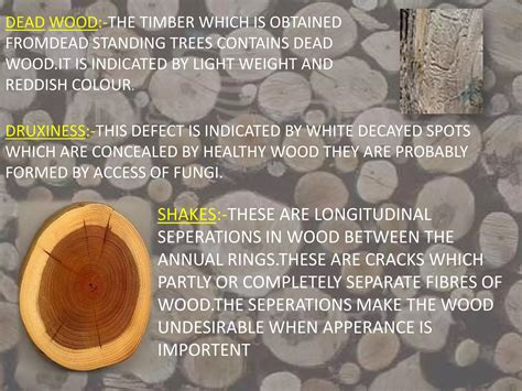 Image result for Natural Timber Defects