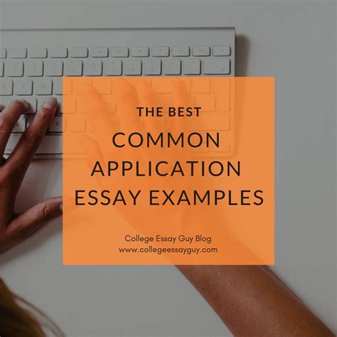 Good Common App Essay Examples に対する画像結果