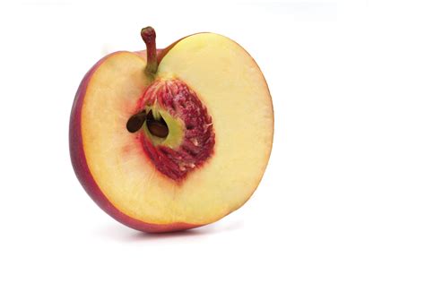 Image result for Nectarine vs Apple