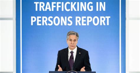 NTD Reports に対する画像結果