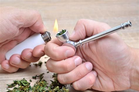 Image result for Hashish vs Marijuana