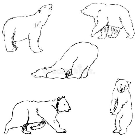 Schets Beeld Patrontje に対する画像結果