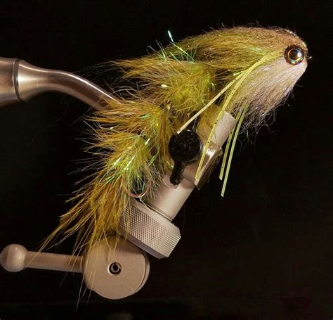 Image result for Micro GameChanger Fly