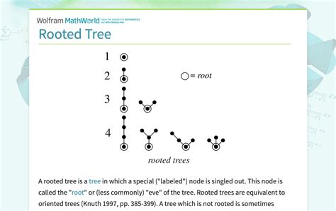 Résultat d’images pour Math Tree Rational
