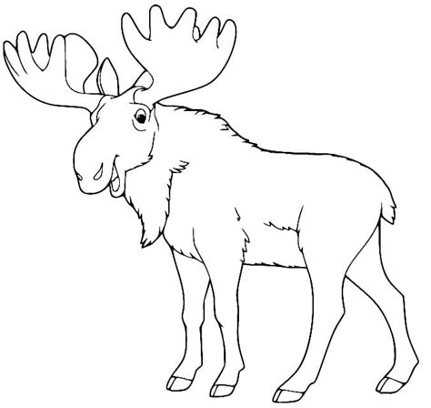 Toradh íomhá ar Moose Head Vector Coloring Page