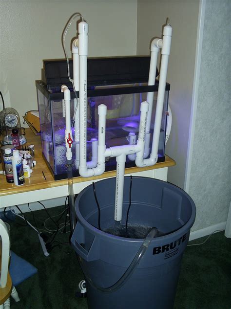 Toradh íomhá ar DIY PVC Overflow Aquarium