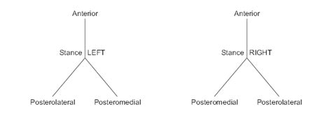 Afbeeldingsresultaten voor Y Balance Test
