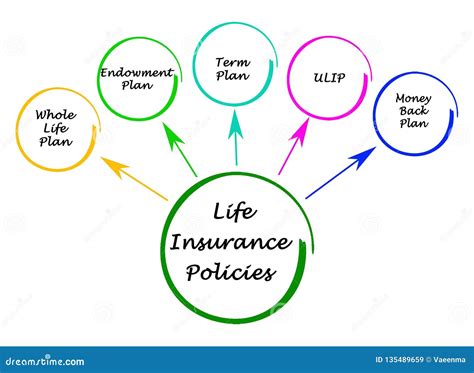 Toradh íomhá ar Types of Life Insurance