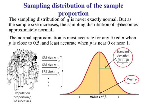 Image result for Construct Sampling Distribution