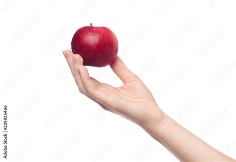 Image result for Woman's Hand Holding an Apple
