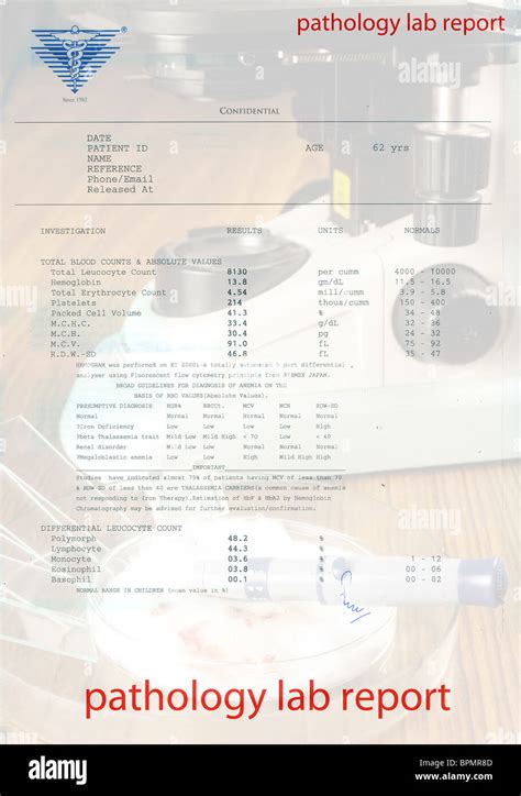 Image result for Path Lab Blood