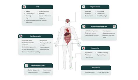 Image result for Nurosym Frequency Module