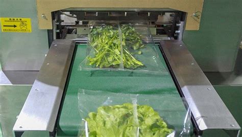 Image result for Vegetable Packing Machine