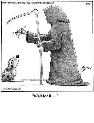 Afbeeldingsresultaten voor Monty Python Wait for It