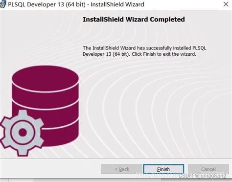Image result for PL/SQL Developer Installation