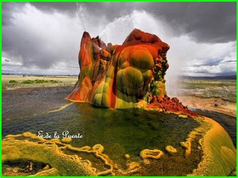 Geiser Fly に対する画像結果