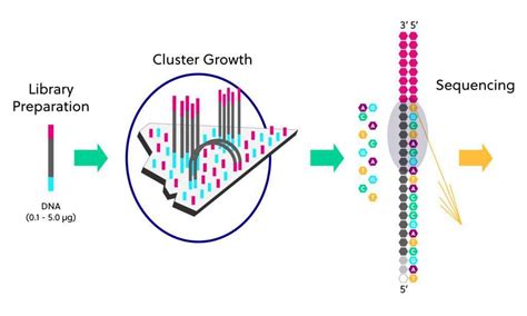 Image result for Next-Gen Sequencing Explained
