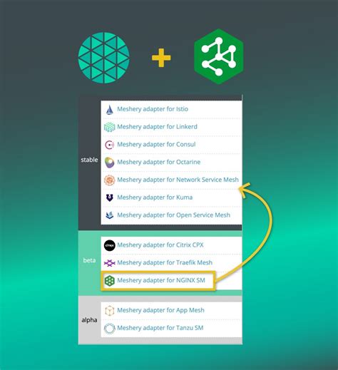 Image result for Nginx ServiceMesh Logo
