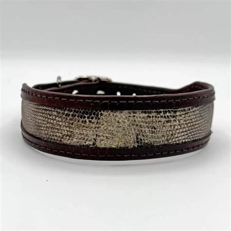 Toradh íomhá ar Python Cowboy Iguana Hunt