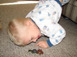 A Simple Algorithm to Sort Animals に対する画像結果