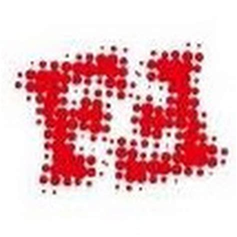 Image result for Flash Video Format