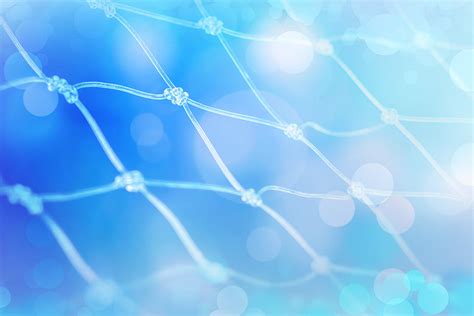 Ten Foot Cast Net に対する画像結果