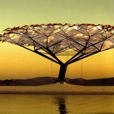 Image result for Tree Canopy Line Work