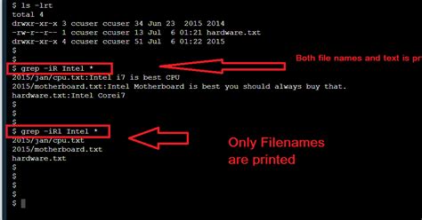 Image result for Grep Linux