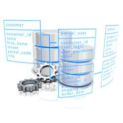 Image result for Custom Database Designer