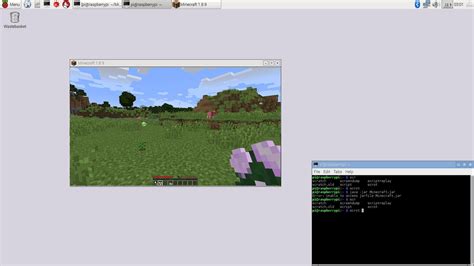 Image result for Raspberry Pi Java Minecraft