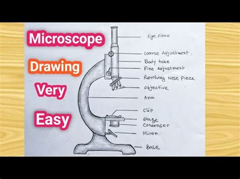 Image result for How to Draw a Compound Microscope