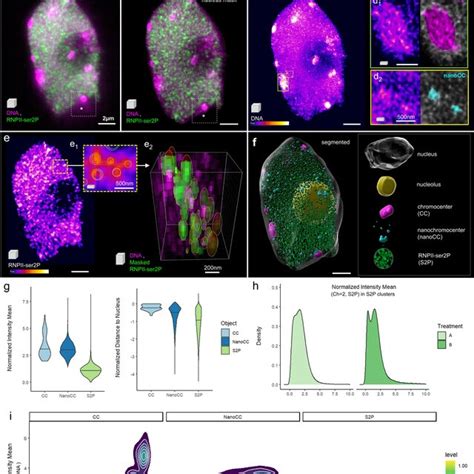 Image result for RNA Pol II ChIP-seq