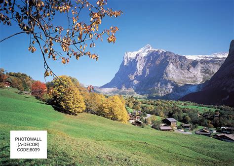 Image result for 8039Wi Postcode