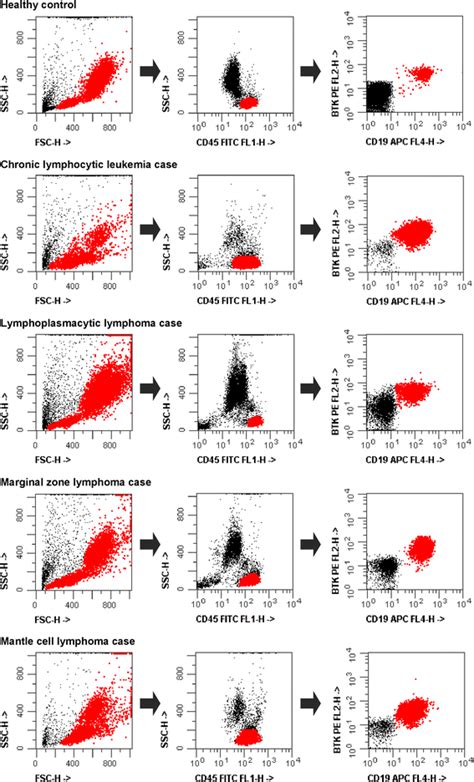 Toradh íomhá ar flow cytometry gating examples