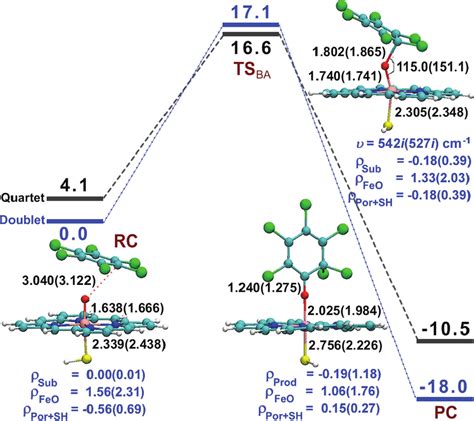 Image result for Oxidative Dehalogenation
